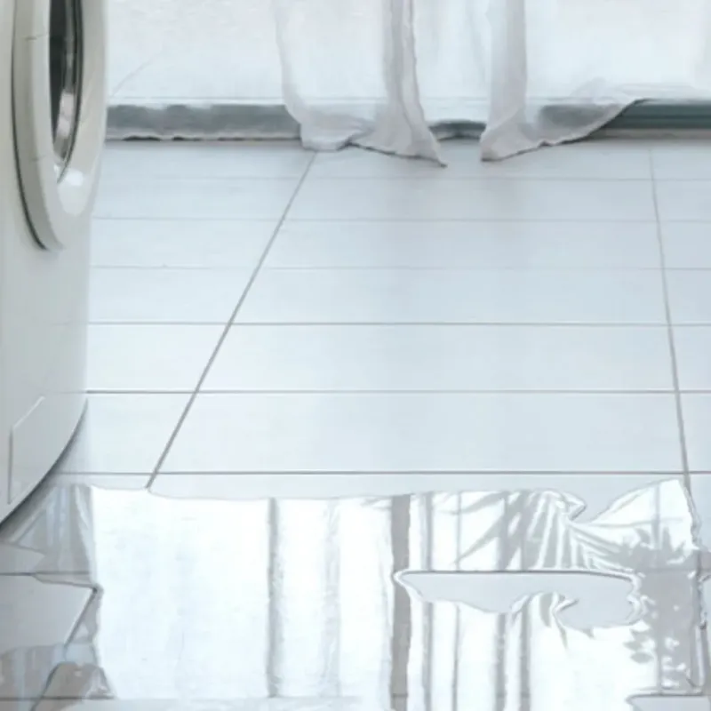 Appliance Leak Cleanup in Red Lake Falls, MN