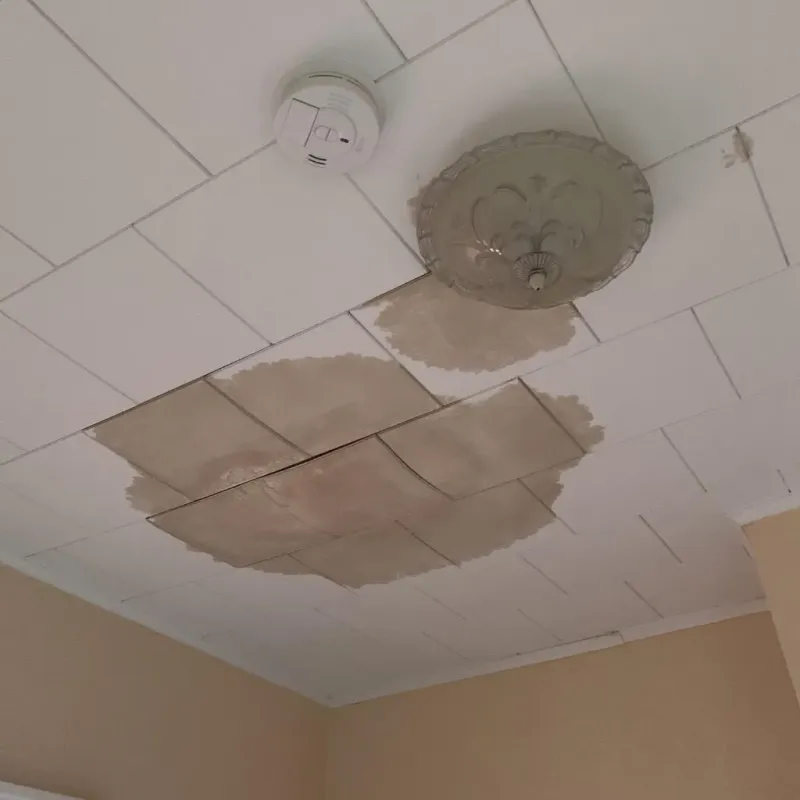 Ceiling Water Damage Repair in Red Lake Falls, MN