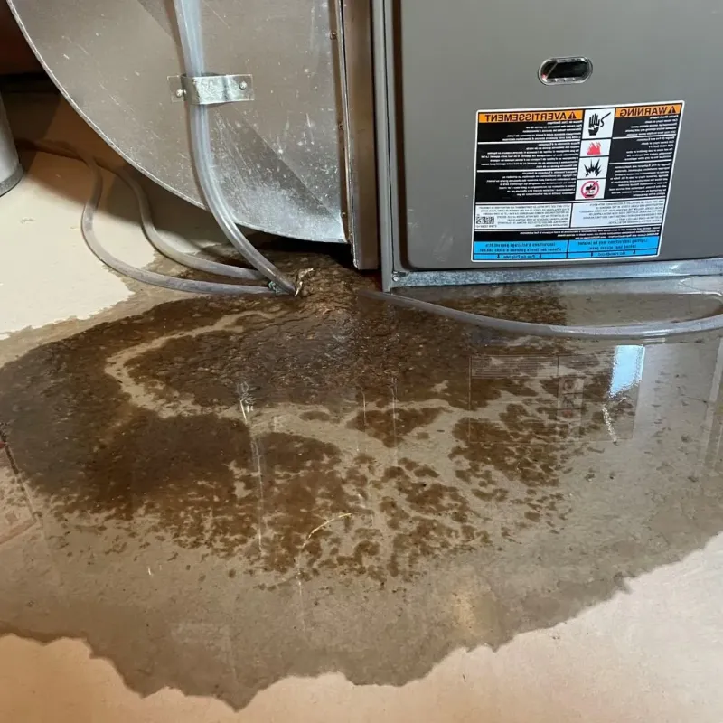 Pipe Burst and Leak Restoration in Red Lake Falls, MN